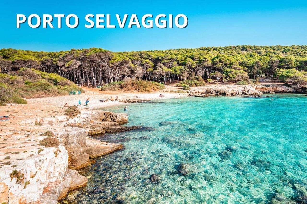 Delfino - Ampio Appartamento A 40 Metri Dalla Spiaggia Lido Conchiglia Exterior photo