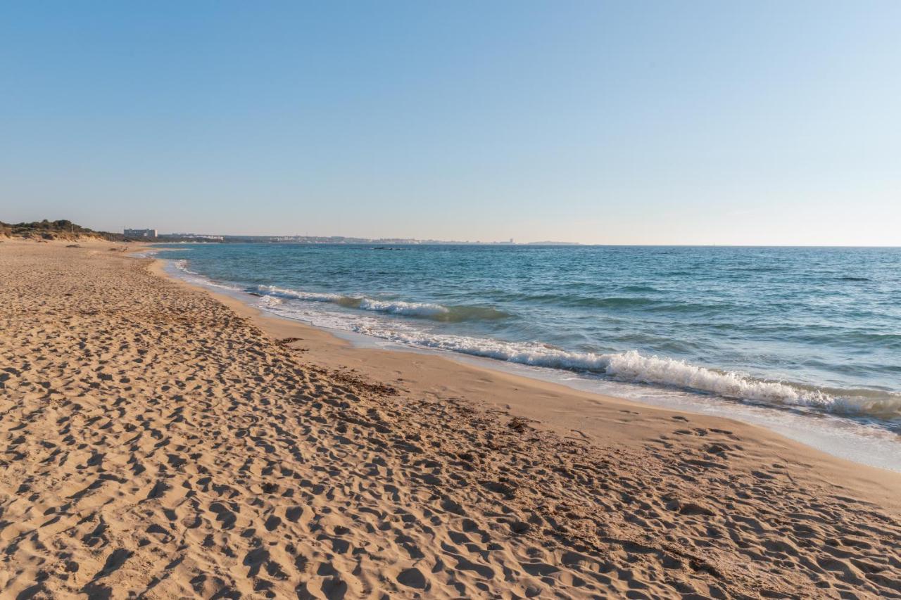 Delfino - Ampio Appartamento A 40 Metri Dalla Spiaggia Lido Conchiglia Exterior photo